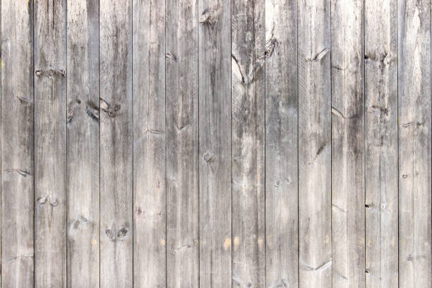 istock Wooden wall light color and vintage pattern for background and texture 1341086622
