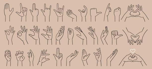 illustrazioni stock, clip art, cartoni animati e icone di tendenza di grande set vari gesti delle mani, segni delle mani, disegnati a mano con una linea - pizzicare illustrazioni