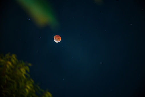 Full Lunar Eclipse, observed from Melbourne, Australia