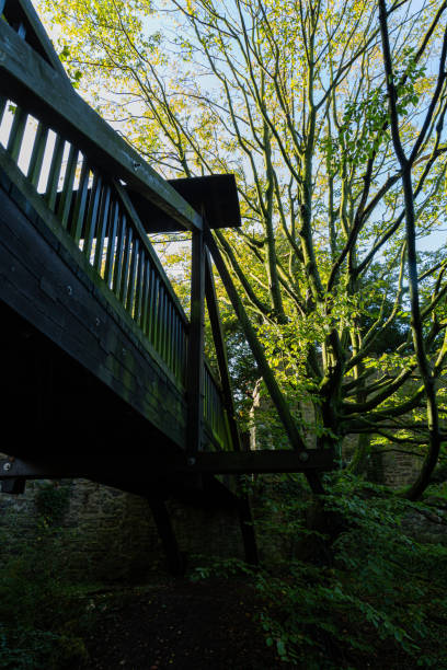 istock Details from old wooden bridge in park 1341091960