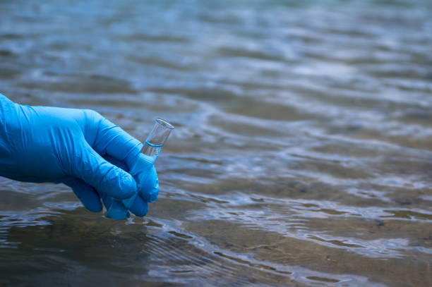 A man's hand in a blue glove takes a close-up of water into a test tube to measure water pollution. Background A man's hand in a blue glove takes a close-up of water into a test tube to measure water pollution. Background. vibrio stock pictures, royalty-free photos & images
