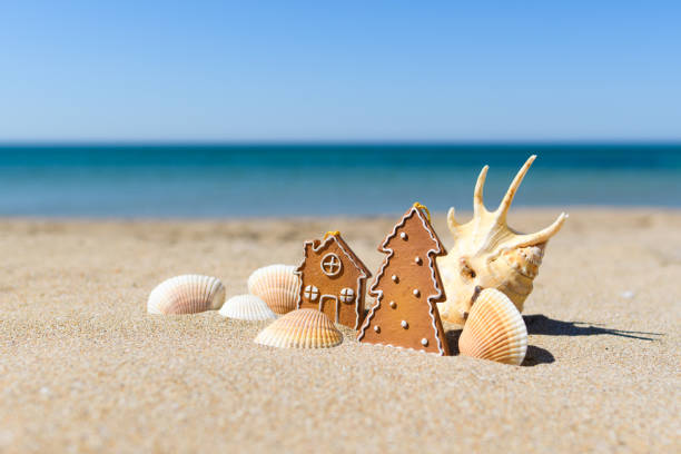 istock Christmas toys next to a large beautiful shell and many small white shells on the seashore. 1341093947