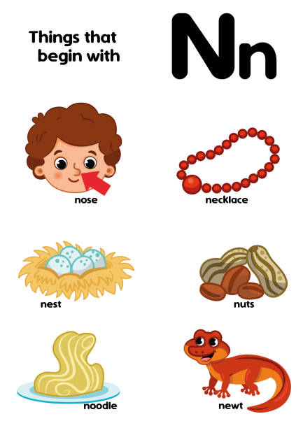 Letter N Stock Illustration - Download Image Now - Necklace, Noodles,  Alphabet - iStock