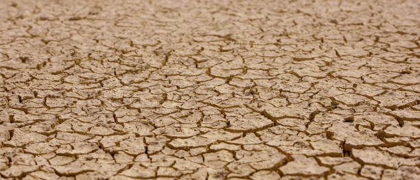 Cracked brown mud, barren land surface natural texture Cracked brown mud, barren land surface natural texture lake bed stock pictures, royalty-free photos & images