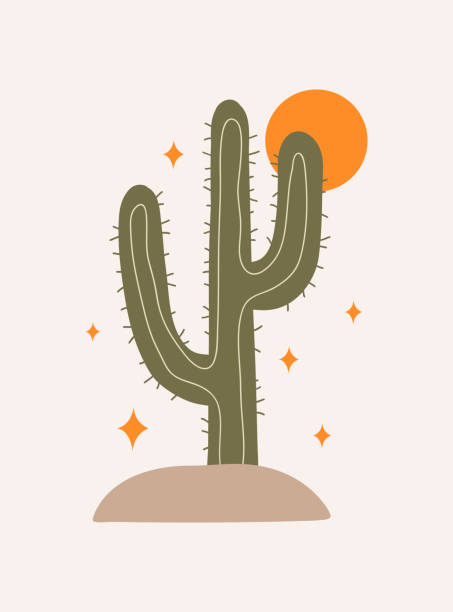 illustrazioni stock, clip art, cartoni animati e icone di tendenza di sfondo estetico astratto moderno con cactus messicano, stelle e sole - cactus thorns