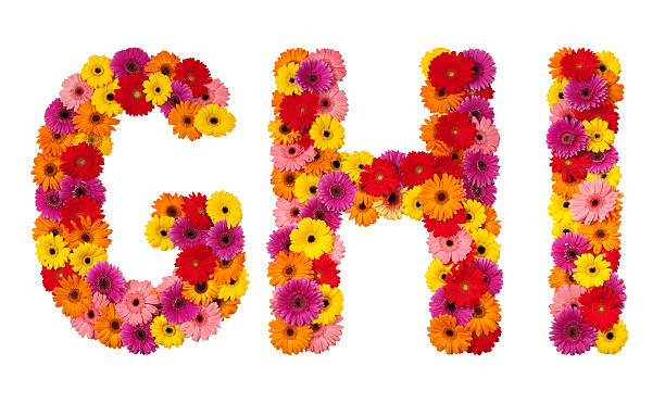istock Letter G H I - flower alphabet isolated on white 134110414