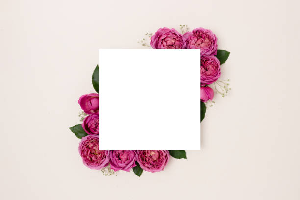 istock Square border frame made of rose flower on a beige background. 1341105392