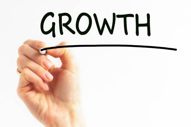 istock Hand writing inscription growth with marker, concept, stock image 1341109589