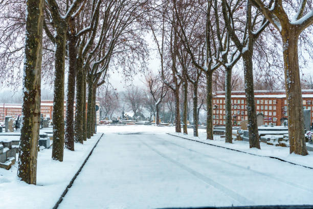 istock snowy road in the cemetery 1341112088
