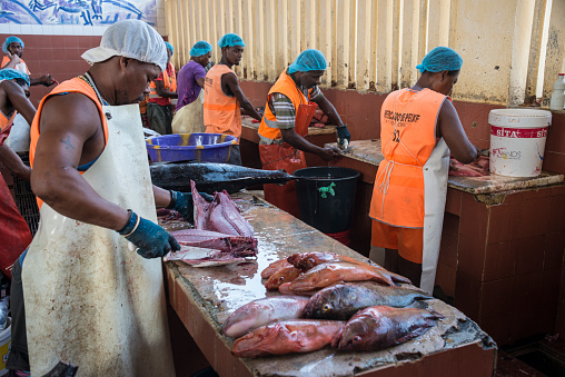Saint Vincent, Cape Verde - august 29, 2015: Operators preparing fish in the fish market of the city of Mindelo