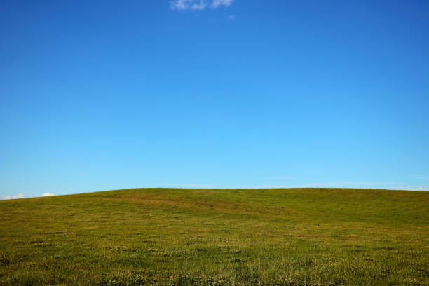 istock Beautiful view of the green meadow on a spring sunny day. 1341114111