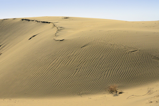 Turanian Desert, Balkh province, Afghanistan: crest of a sand dune shaped by the central asian winds - deserts of Turan, the parts in Kazakhstan, Turkmenistan and Uzbekistan are a tentative UNESCO world heritage site, The original Turanians were an Iranian tribe of the Avestan age. Cold desert climate area. Badghyz and Karabil semi-desert ecoregion.