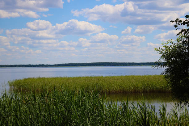 istock View of a small lake on a sunny day. 1341115773