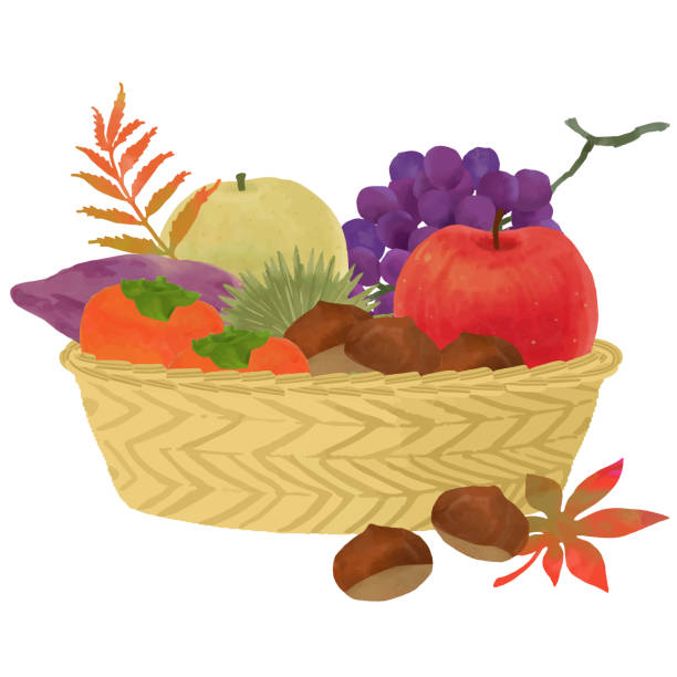 ilustrações, clipart, desenhos animados e ícones de frutas de outono na ilustração vetorial da cesta - agriculture autumn apple greengrocers shop