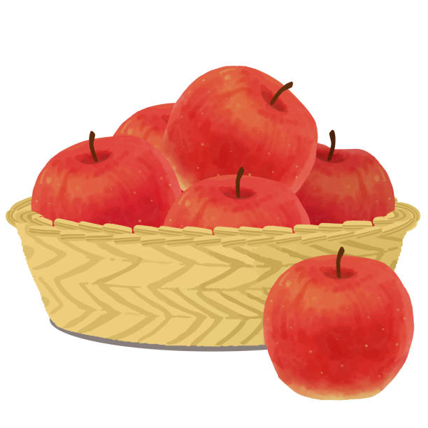 ilustrações, clipart, desenhos animados e ícones de maçã de fruta de outono na ilustração vetorial da cesta - agriculture autumn apple greengrocers shop