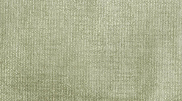 istock Muted dark green and grey acrylic textured painted on canvas abstract background. Handmade, organic, with hi-res scanned file technique. 1341119386