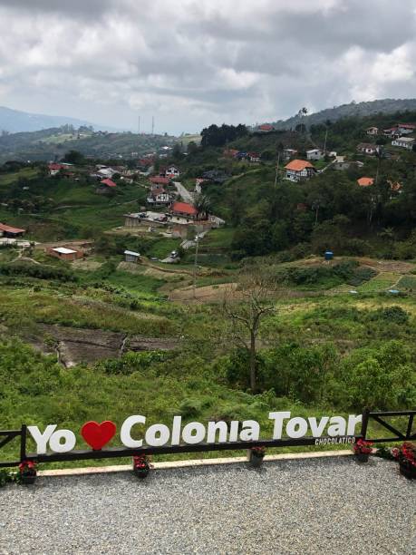 토바르 콜로니아의 정원과 산의 탁 트인 전경 - colonia tovar 뉴스 사진 이미지