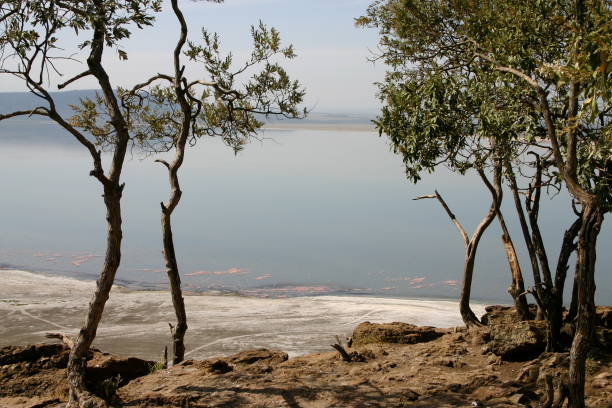 istock Lookout over Lake Nakuru, Kenya 1341122704