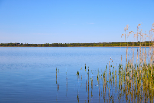 View of a large lake on a sunny day