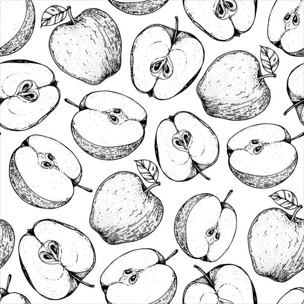 Vector illustration of Seamless pattern with apple fruit. Hand drawn sketch. Black and white style illustration. Vector illustration.