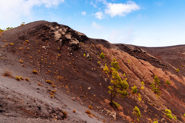 cratere vulcanico. vulcano san antonio a fuencaliente, la palma - travel la palma canary islands san antonio foto e immagini stock