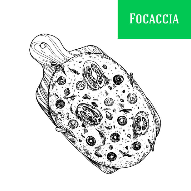 illustrations, cliparts, dessins animés et icônes de illustration vectorielle de focaccia italienne dessinée à la main. vue de dessus focaccia. illustration de l’esquisse. - fochaccia