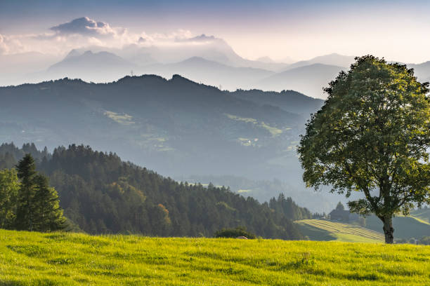 istock Mountain landscape in the Bregenz Wald at sunset 1341128773