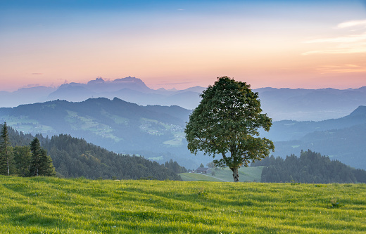 Mountain landscape at sunset in the Bregenz Forest mountains of Vorarlberg, Austria, with mount Saentis in Switzerland in the background