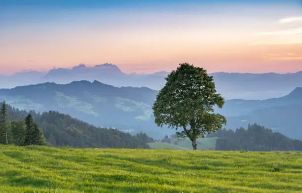 Mountain landscape at sunset in the Bregenz Forest mountains of Vorarlberg, Austria, with mount Saentis in Switzerland in the background