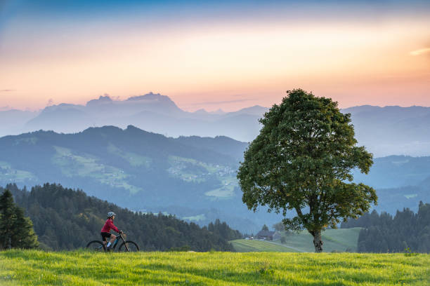 starsza kobieta na elektrycznym rowerze górskim w górach leśnych bregencji, austria - bregenzwald zdjęcia i obrazy z banku zdjęć