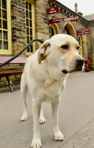 istock Old English Train Station 1341129539