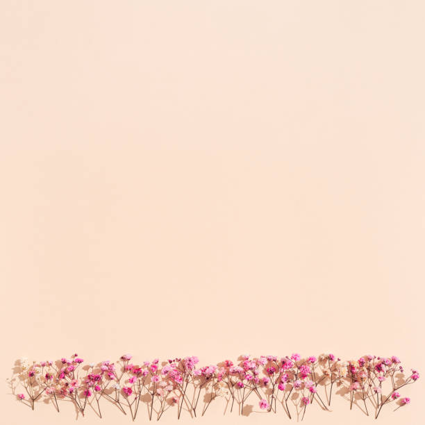 istock Small pink flowes on beige colored paper. Floral background. Minimal style aesthetic image 1341129668