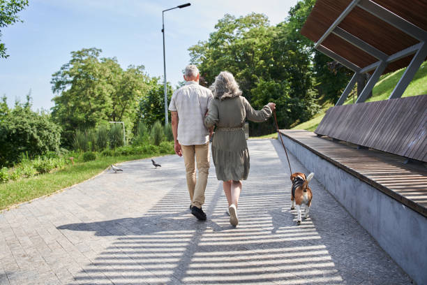 istock Cheerful elderly twosome walking through the summer park together 1341129778