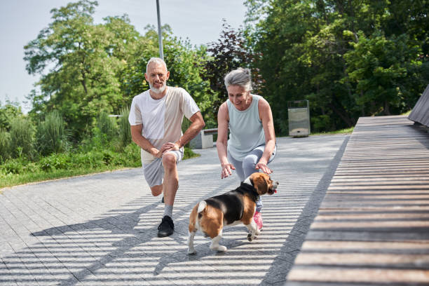 istock Senior spouses making lunges and looking at their beagle dog while training 1341129849