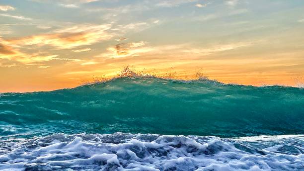 istock Waves at the beach tropical dusk 1 1341130779