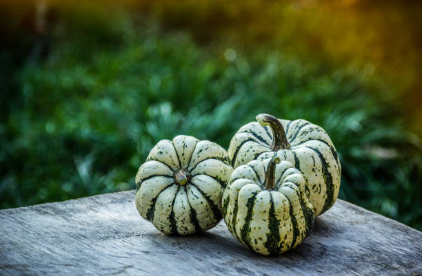 istock Pumpkins on a wooden table in the garden. 1341130785