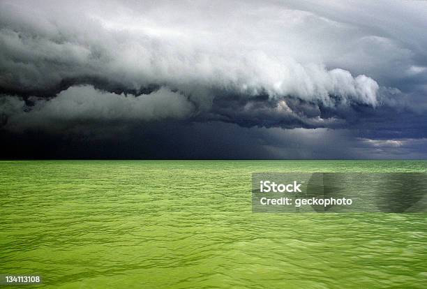 Neptunes Zorn Stockfoto und mehr Bilder von Bucht - Bucht, Florida - USA, Fotografie