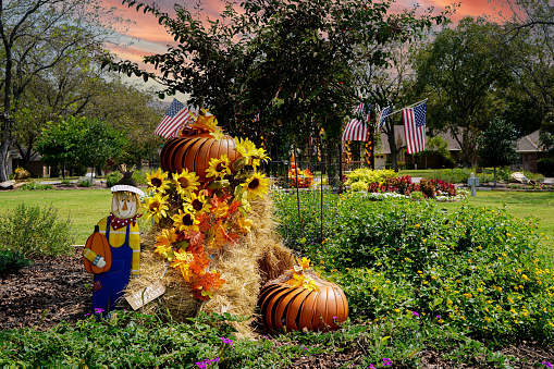 Scarecrow, metal pumpkins on hay bales in a garden with lantana and xeriscape plants. American flags flying. Autumn decoration.