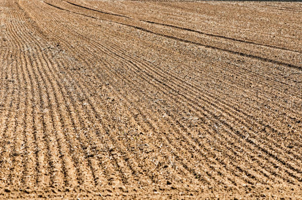 istock The plowed field. Plantation 1341133139