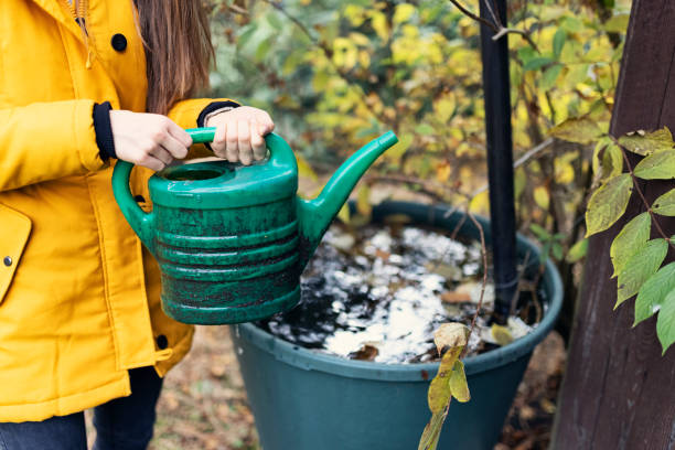 Teenage girl filling the water can from the rainwater tank stock photo