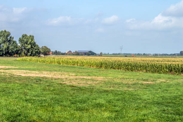 tierras de cultivo alrededor de broek en waterland países bajos - waterland fotografías e imágenes de stock