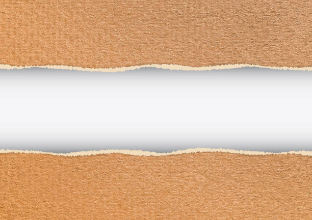 찢어진 가장자리와 종이 레이어 아래에 빈 흰색 줄무늬가있는 골판지 배경 - brown background material textile torn stock illustrations