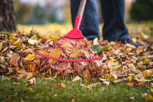 istock Raking leaves in autumn garden 1341134275