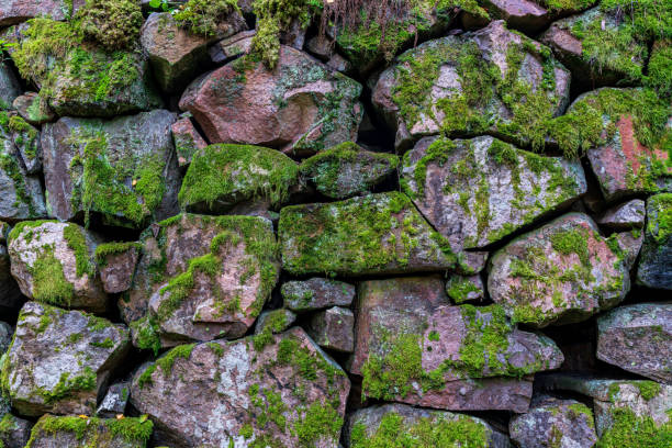 istock Old rock wall covered with green moss 1341134622