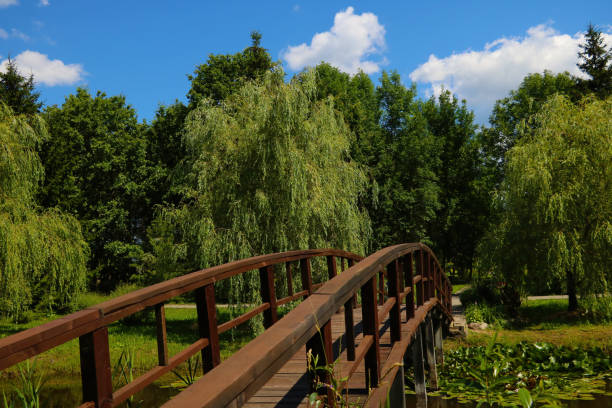 istock Wooden bridge over a lake or river for walking. 1341137292