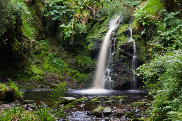istock Hindhope Linn waterfall, Kielder Forest Park, Northumberland in summer time 1341138932
