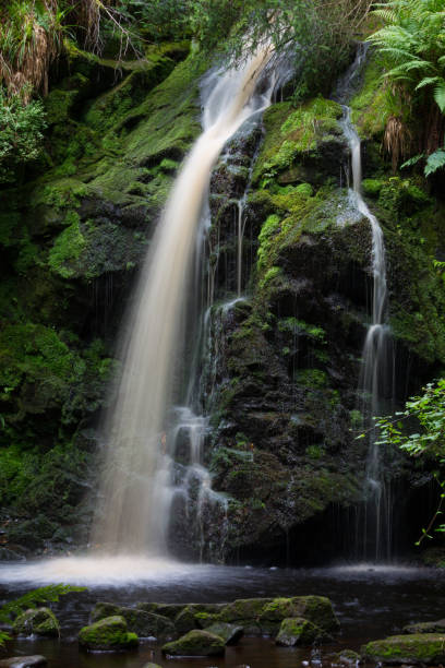 istock Hindhope Linn waterfall, Kielder Forest Park, Northumberland in summer time 1341138933