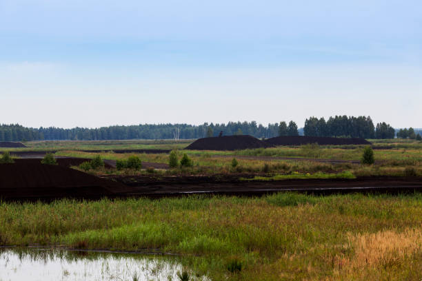 istock the flooded area where peat is extracted 1341142884