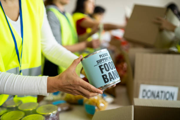 istock Food donation 1341144279