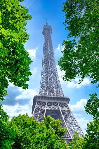 The Eiffel Tower through park trees on a summer day.